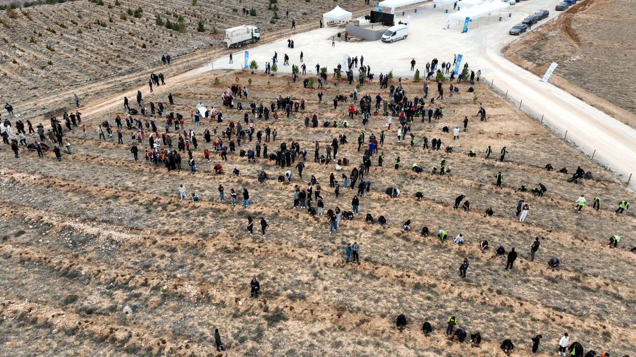 Konya’da karbon yutak alanı oluşturuldu 11
